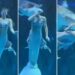 ‘Sereia’ é atacada por peixe gigante durante apresentação em aquário na China