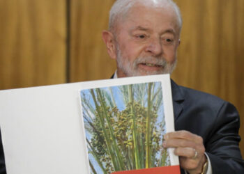 Lula diz em vídeo que “2025 será o ano da colheita” no país