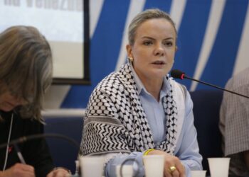 Novo aciona TCU contra post de Gleisi sobre “empréstimo de Lula”