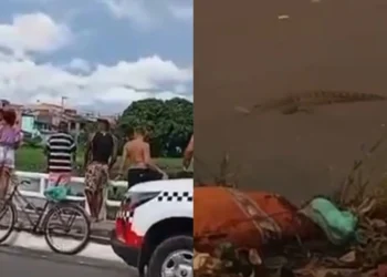 Homem desaparece no canal São Joaquim e esposa relata ataque de sucuri