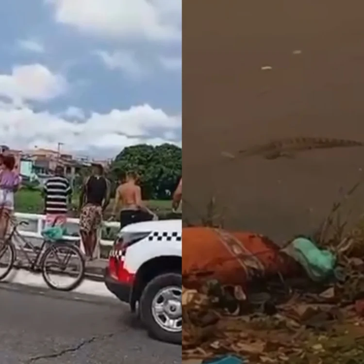 Homem desaparece no canal São Joaquim e esposa relata ataque de sucuri