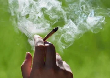 Homem abre BO após não receber maconha e diz que traficante agiu de má-fé