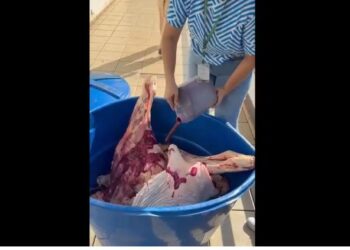 Estabelecimento usa corante para avermelhar carne estragada e deixá-la com ‘ar de frescor’ em SC