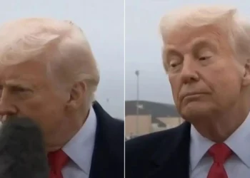 Trump é atingido por microfone no rosto durante entrevista e reage: ‘Você viu isso?’