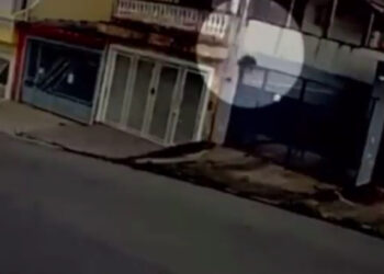 Pitbull salta portão de três metros e quase ataca cão durante passeio