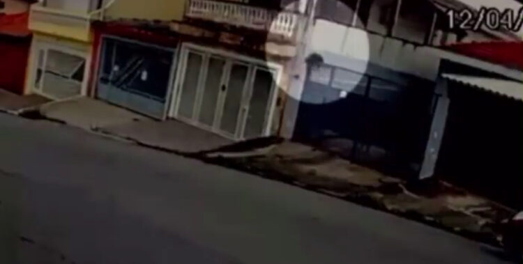 Pitbull salta portão de três metros e quase ataca cão durante passeio