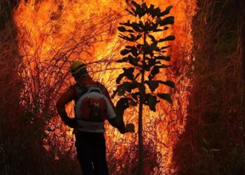 Degradação florestal da Amazônia Legal bate novo recorde e cresce 482,3% em 2025