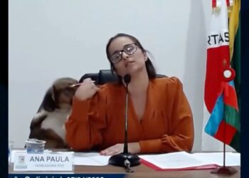 Cachorro invade sessão da Câmara Municipal em Minas Gerais e surpreende vereadora