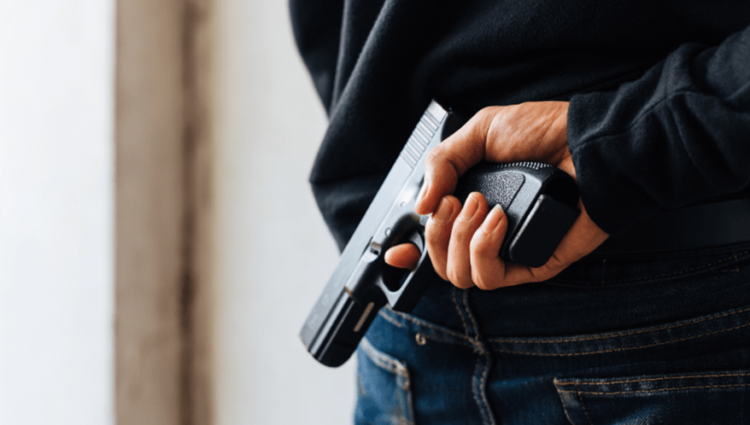 Comissão do Senado aprova porte de arma de fogo para advogados