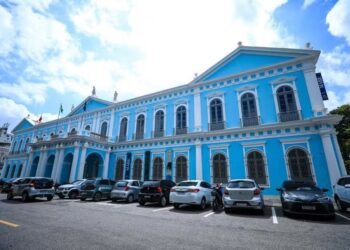 Causa animal segue esquecida em Belém e ativistas protestam contra gestão de Igor Normando