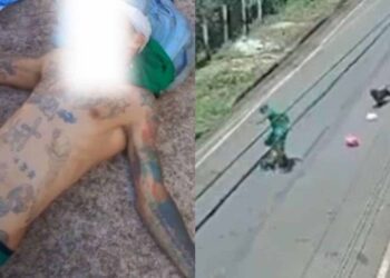 Gari é atacado por dois pitbulls durante trabalho em Minas Gerais