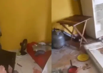 Crianças de 2 e 3 anos são resgatadas em situação de abandono no bairro do Guamá, em Belém