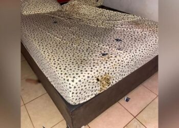 Homem invade casa noturna e deixa quarto cheio de fezes, no Mato Grosso do Sul