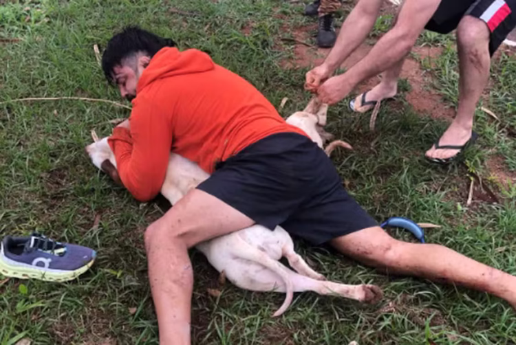 Lutador de muay thai imobiliza dois pitbulls após ser atacado em MS
