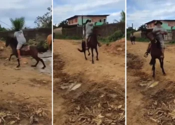 Homem que aparece em vídeo agredindo cavalo é preso pela polícia do ES