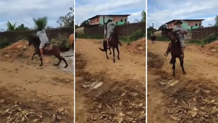 Homem que aparece em vídeo agredindo cavalo é preso pela polícia do ES