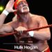 Hulk Hogan, ator e lenda da luta livre, morre aos 71 anos