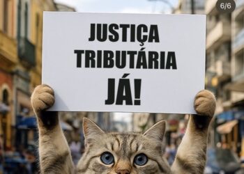 Governo usa memes de gatinhos para vender ideia de mais impostos para ricos