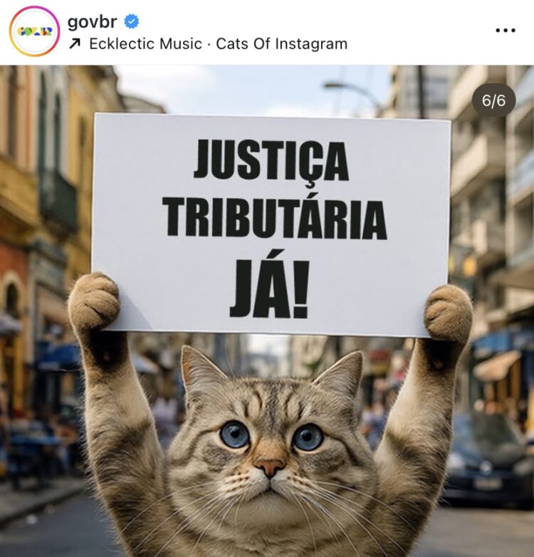 Governo usa memes de gatinhos para vender ideia de mais impostos para ricos