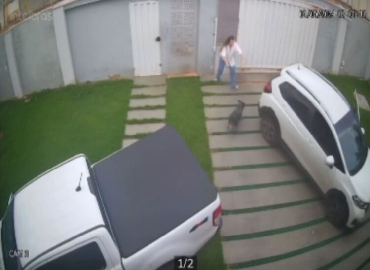 Tutora se arrisca para não deixar cachorro fugir e quase é atropelada pelo próprio carro