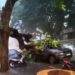 Árvore de grande porte cai sobre carro na Rua dos Mundurucus durante forte chuva