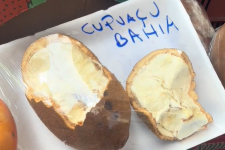 Vídeo de paraense em São Paulo viraliza e gera discussão sobre origem da fruta; ‘Cupuaçu da Bahia?’