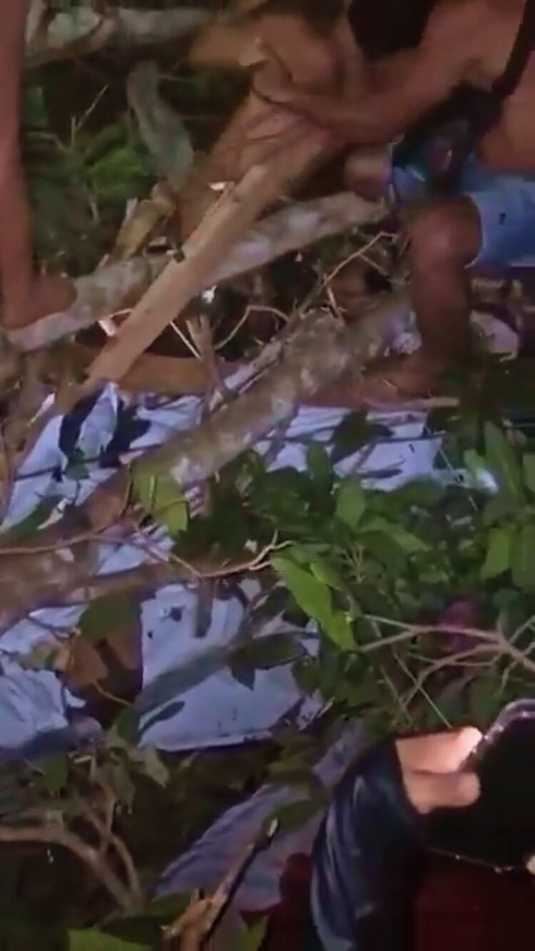 Cabaré é destruído por árvore no Amazonas e casal nu é salvo de escombros