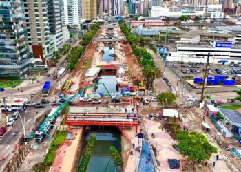 Homem é flagrado abandonando cachorro na avenida Augusto Montenegro
