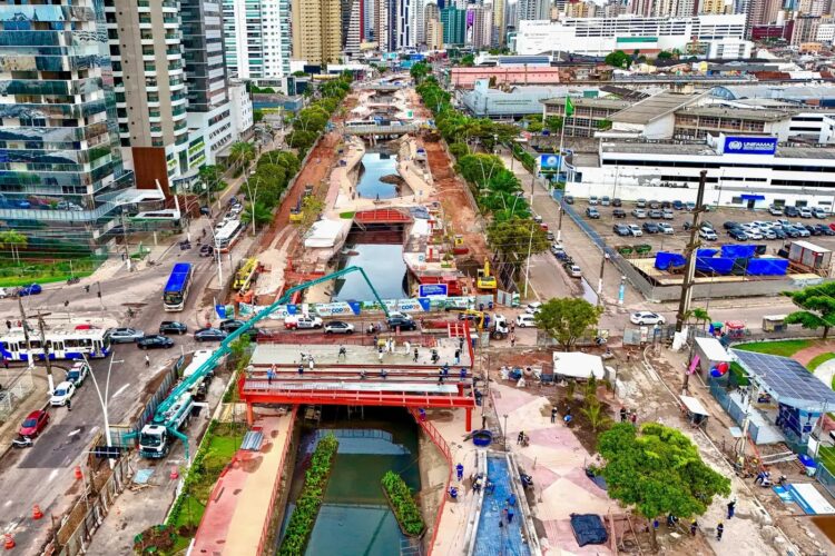 Homem é flagrado abandonando cachorro na avenida Augusto Montenegro