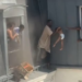 Vizinho se arrisca para salvar mulher e crianças pela janela de prédio durante incêndio em Paris