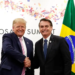 “Bolsonaro é um homem honesto e ama o povo do Brasil”, diz Trump em entrevista