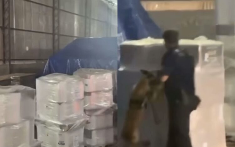 Receita Federal apreende mais de 450 quilos de “supermaconha” em Outeiro