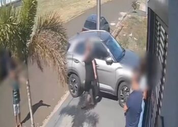 Jovem escala portão para fugir de pit-bull solto, no Paraná