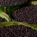 Cidade inicia mapeamento de pontos de venda de açaí