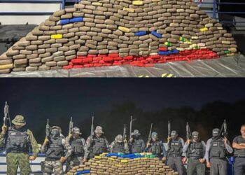 Mais de 360 kg de drogas são apreendidos em embarcação no município de Óbidos