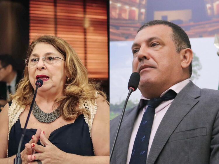 Câmara de Belém registra novo embate envolvendo vereadora do PSOL