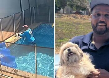 Piscineiro salva cão cego que se afogava em piscina de casa em Goiânia