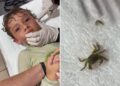 Filho de influenciadora tem caranguejo vivo retirado de ouvido após passeio na praia