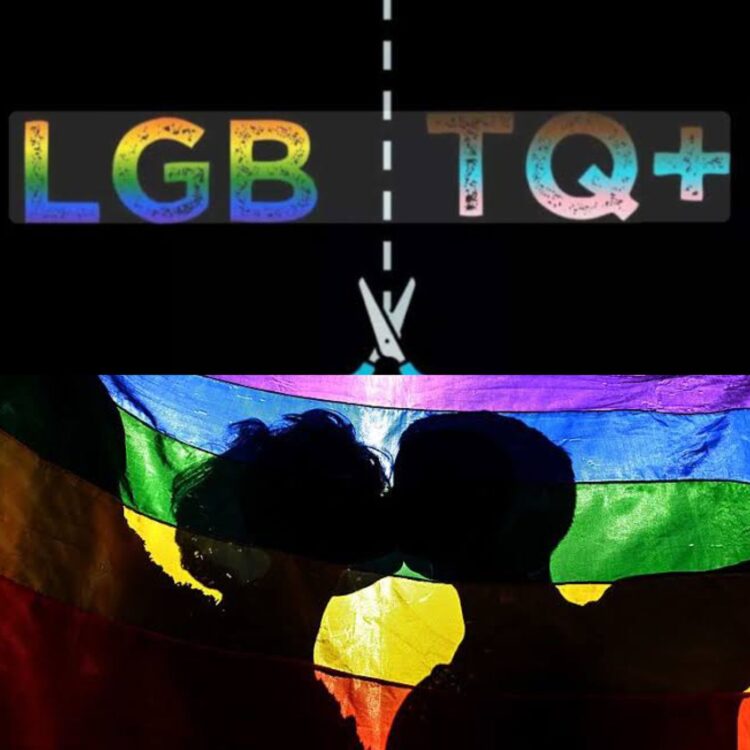 Gays, lésbicas e bissexuais declaram independência do ativismo trans