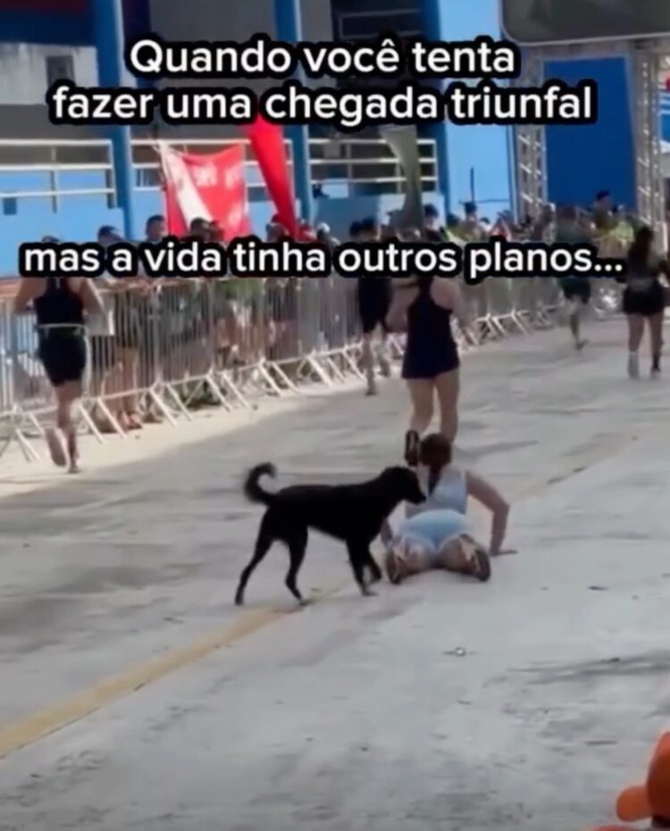 Corredora é derrubada por cachorro ao chegar na fila de chegada e cena viraliza nas redes
