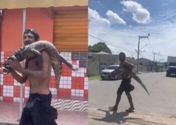 Morador de rua é filmado carregando jacaré nas costas em avenida de Manaus