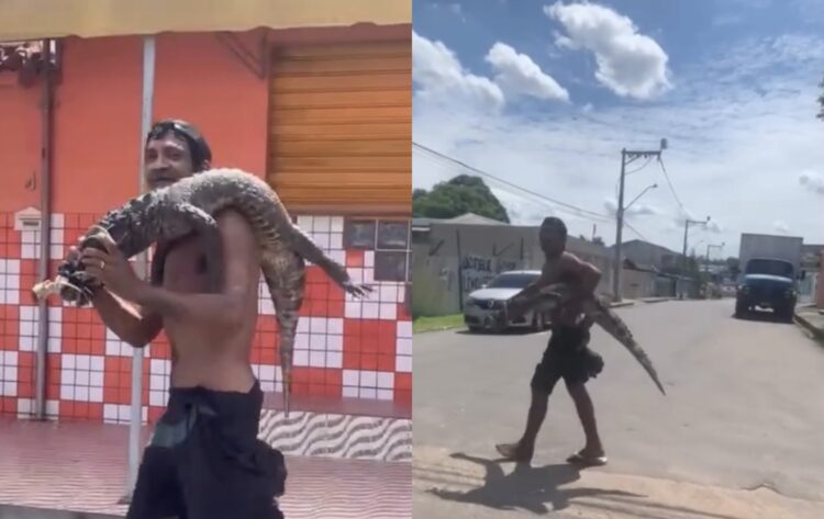 Morador de rua é filmado carregando jacaré nas costas em avenida de Manaus