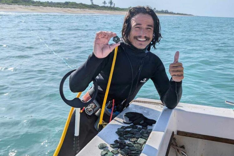 Mergulhadores encontram US$ 1 milhão em moedas em barco que naufragou no século 18