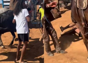 Influenciador leva coice durante vaquejada e viraliza na web: “Ele voou longe”