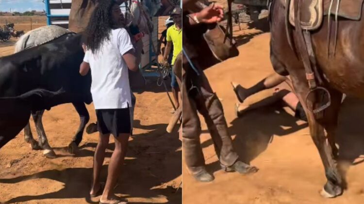 Influenciador leva coice durante vaquejada e viraliza na web: “Ele voou longe”