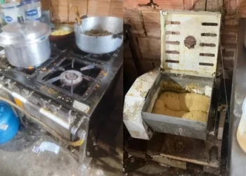 Delegado expõe fábrica clandestina de salgados infestada de baratas e moscas