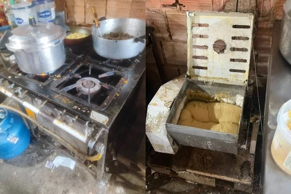 Delegado expõe fábrica clandestina de salgados infestada de baratas e moscas
