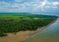 DataFolha revelou que maioria dos brasileiros é contra a exploração de petróleo na Foz do Amazonas