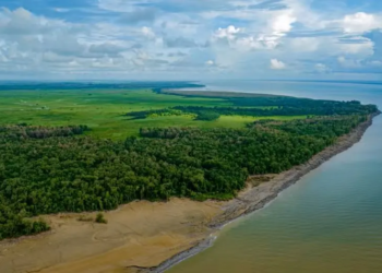 DataFolha revelou que maioria dos brasileiros é contra a exploração de petróleo na Foz do Amazonas