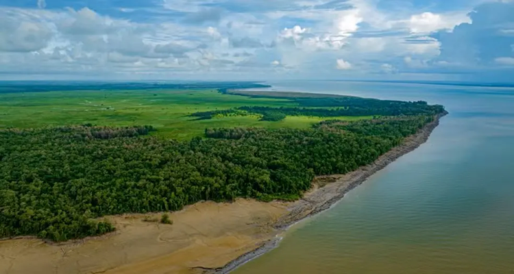 DataFolha revelou que maioria dos brasileiros é contra a exploração de petróleo na Foz do Amazonas